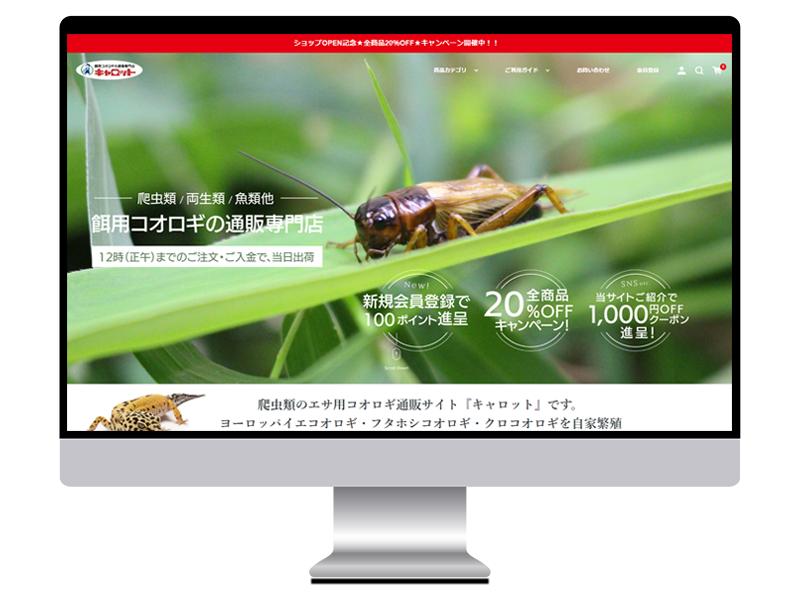キャロット